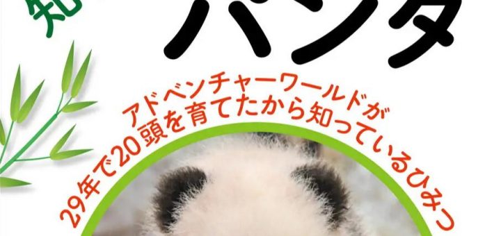 『知らなかった！　パンダ』中国以外の飼育下で世界一の繁殖例を誇る「アドベンチャーワールド」